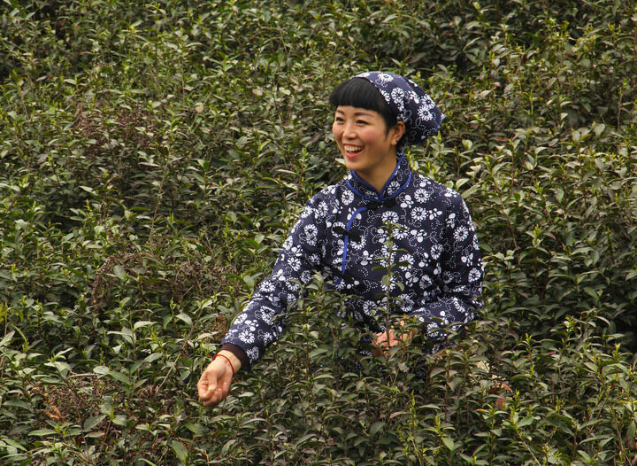 37间房主播跳舞 心理游戏